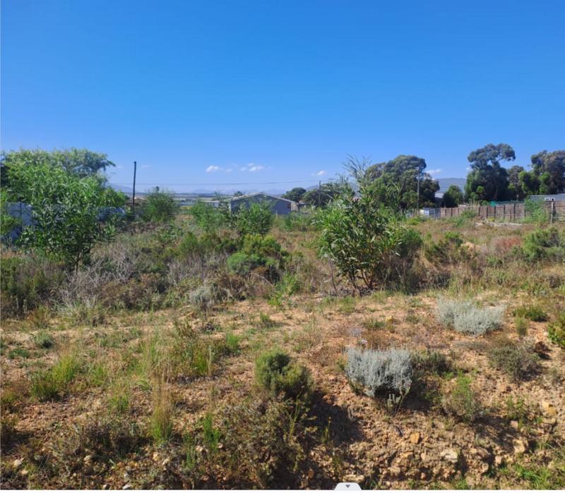 0 Bedroom Property for Sale in Fisherhaven Western Cape